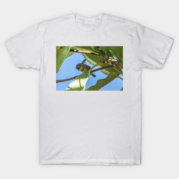 Japanese white-eye Honolulu T-Shirt by KensLensDesigns